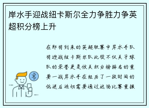 岸水手迎战纽卡斯尔全力争胜力争英超积分榜上升